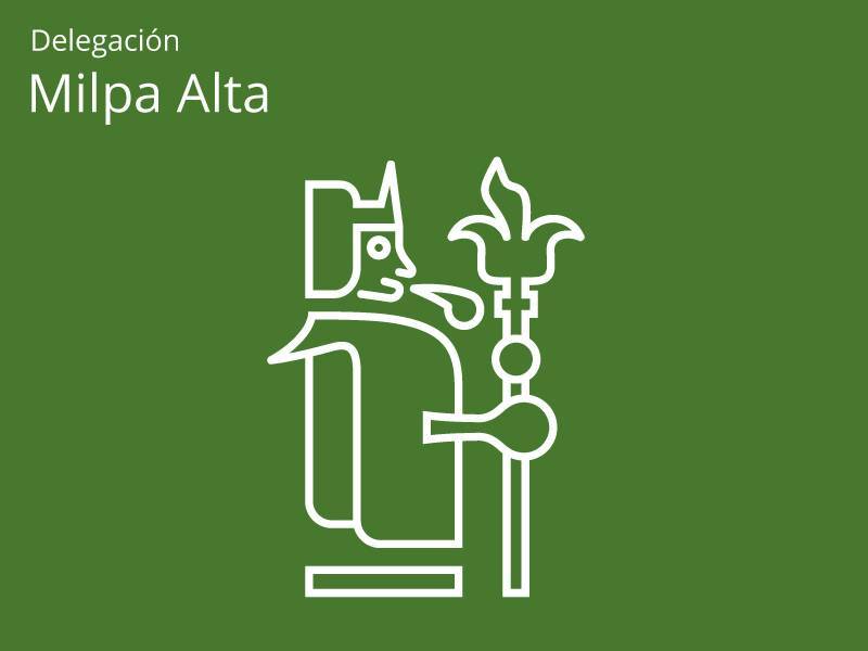 Participan los 26 grupos de la 3Aa edad en el Primer Concurso Gastronómico de Milpa Alta
