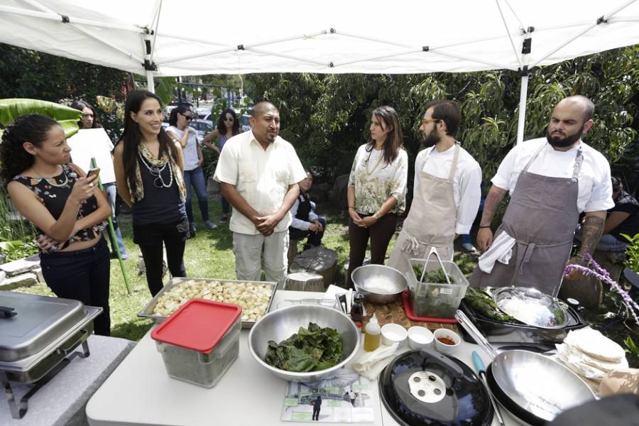 INICIA EN TLATELOLCO CAMPAÑA PARA IMPULSAR HUERTOS URBANOS