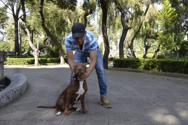PROMUEVEN PROTECCIÓN DE ANIMALES EN AZCAPOTZALCO
