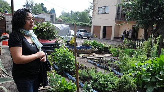 Tlalpan promueve Huertos Urbanos y Bosques Comestibles