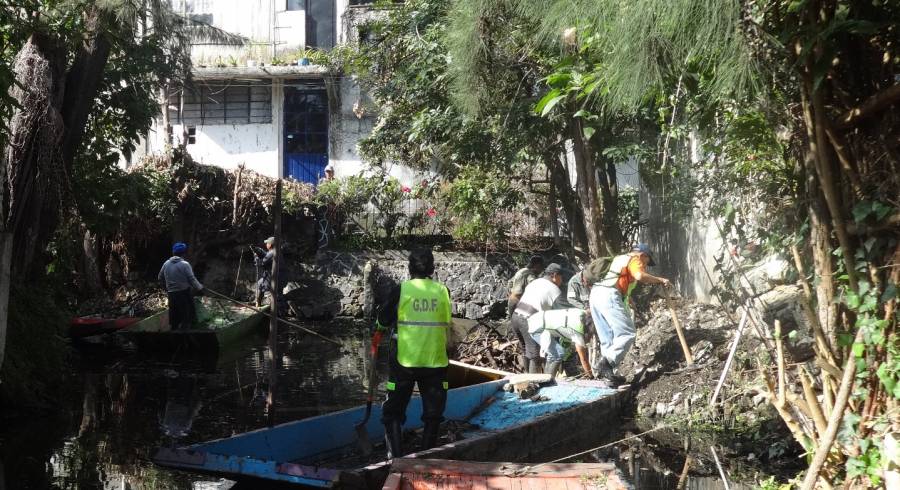 EJECUTA XOCHIMILCO OPERATIVOS EN ZONAS DE VALOR AMBIENTAL