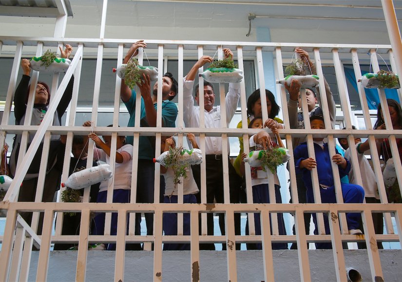 Fomentan escuelas con muros verdes en Milpa Alta
