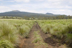 MILPA ALTA PREVIENE INCENDIOS FORESTALES CON TALLERES DE EDUCACIÓN AMBIENTAL