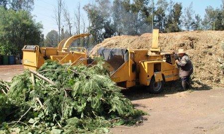 CONVIERTE XOCHIMILCO RESIDUOS DE PODAS EN ABONO ORGÃNICO