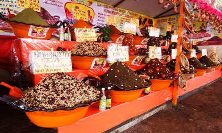 DELEGACIÃ“N MILPA ALTA INVITA A LA XXXVIII FERIA NACIONAL DEL MOLE