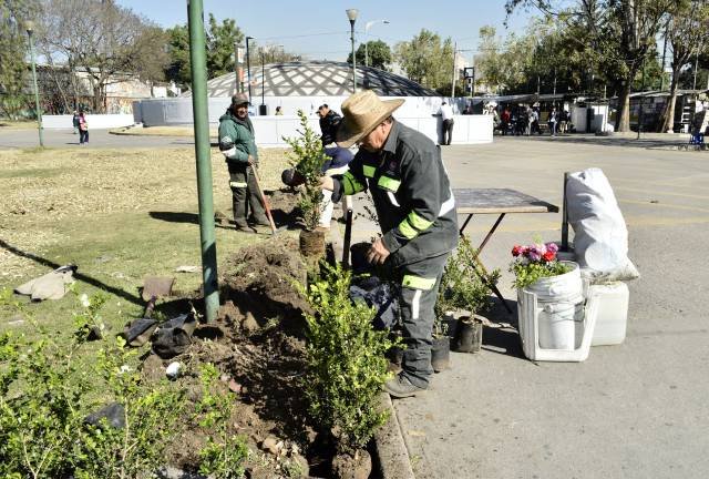 DESTINAN A PARQUES MÁS DE CINCO MIL ÁRBOLES TRITURADOS