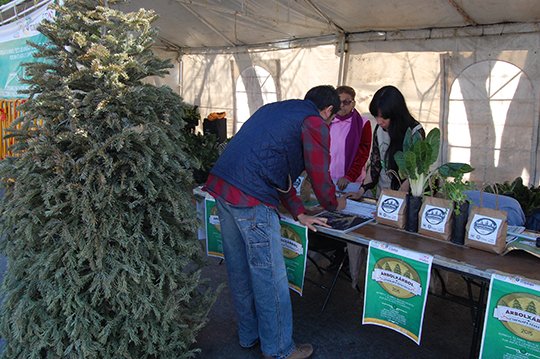 RECICLA IZTAPALAPA ÁRBOLES DE NAVIDAD.