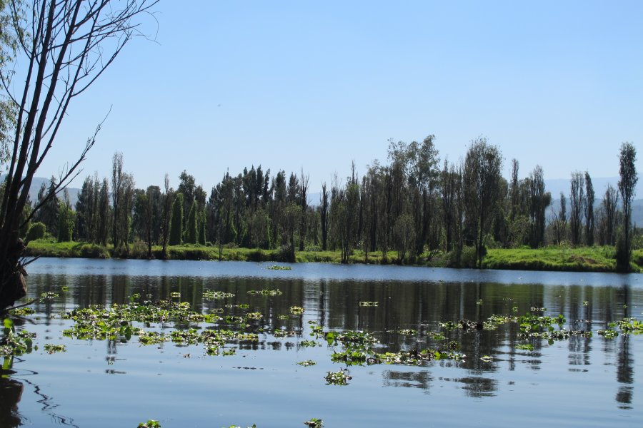ACCIONES PERMANENTES EN BENEFICIO DE LA ZONA LACUSTRE DE XOCHIMILCO