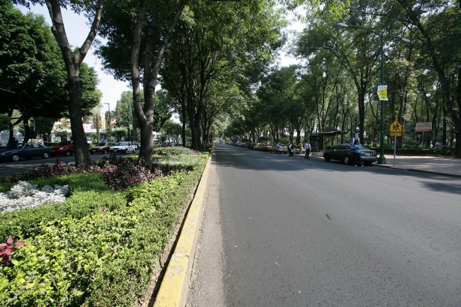 URGE CICLOVÍA EN DIVISIÓN DEL NORTE