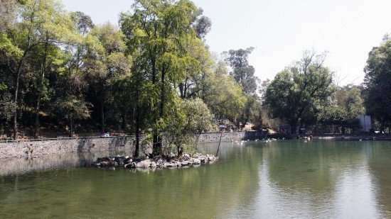 INICIAN JORNADAS DE LIMPIEZA EN ÁREAS VERDES DE TLALPAN