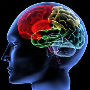 SE ALISTA JORNADA DE SALUD MENTAL EN XOCHIMILCO