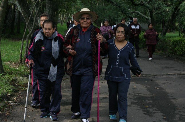 Disfrutan Adultos Mayores caminata por la salud en Bosque de Tlalpan