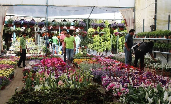 EL MERCADO MÁS GRANDE DE LATINOAMÉRICA
