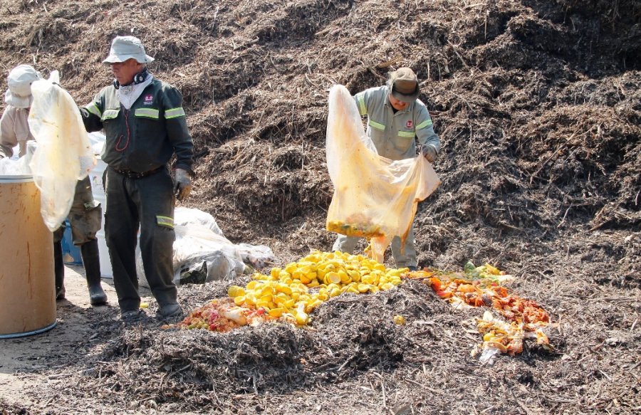 MÁS DE 640 MIL TONELADAS DE RESIDUOS SÓLIDOS RECOLECTADOS EN XOCHIMILCO