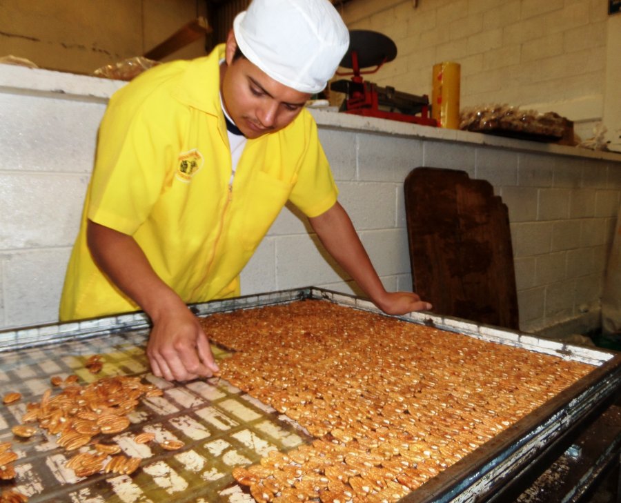 CRECEN SOCIEDADES COOPERATIVAS EN XOCHIMILCO