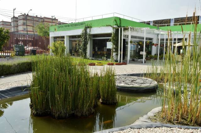 ENSEÑARÁN A CULTIVAR HONGOS EN CENTRO VERDE AZCAPOTZALCO
