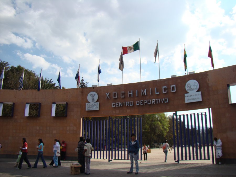 CURSO DE VERANO EN LA ALBERCA DEL DEPORTIVO XOCHIMILCO