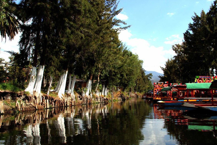 DISFRUTA DE UN PASEO VIRTUAL EN TRAJINERA POR XOCHIMILCO, AHORA CON GOOGLE MAPS
