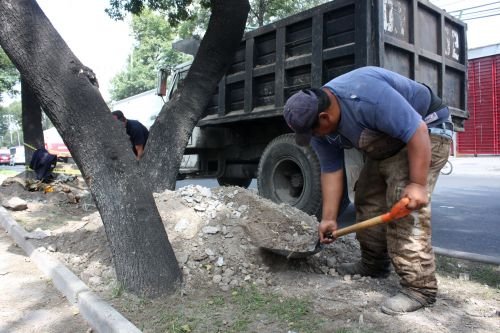 RETIRAN MIL METROS CÚBICOS DE ESCOMBRO AL MES