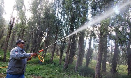 CONTINÃšAN EN XOCHIMILCO ACCIONES DE REFORESTACIÃ“N Y COMBATE DE PLAGAS