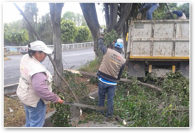 Vecinos y funcionarios recuperan espacios públicos de Tlalpan