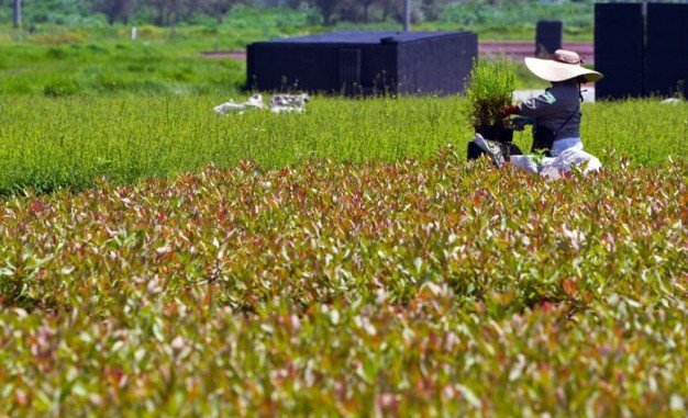 Primera Sesión Extra-Ordinaria 2016, del Consejo Delegacional para el Desarrollo Rural Sustentable en Cuajimalpa