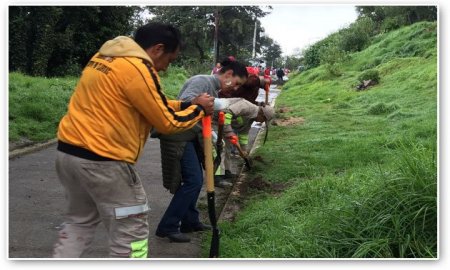 RECUPERAN VECINOS Y GOBIERNO DELEGACIONAL ENTORNO URBANO DE COLONIAS EN TLALPAN