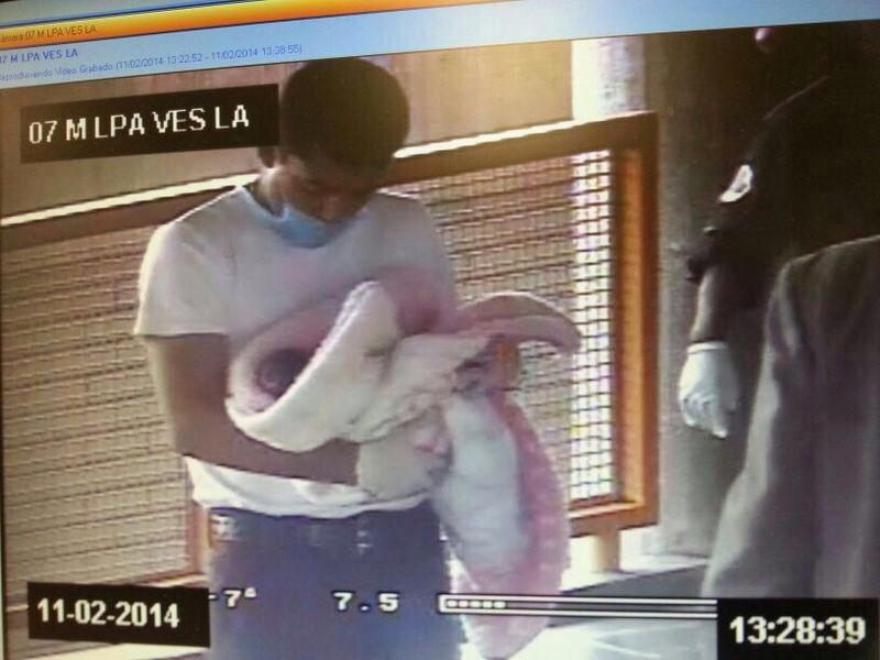 NACE UNA BEBÉ EN LA ESTACIÓN LA PAZ DE LA LÍNEA A; ES EL PRIMER ALUMBRAMIENTO EN EL INTERIOR DEL METRO