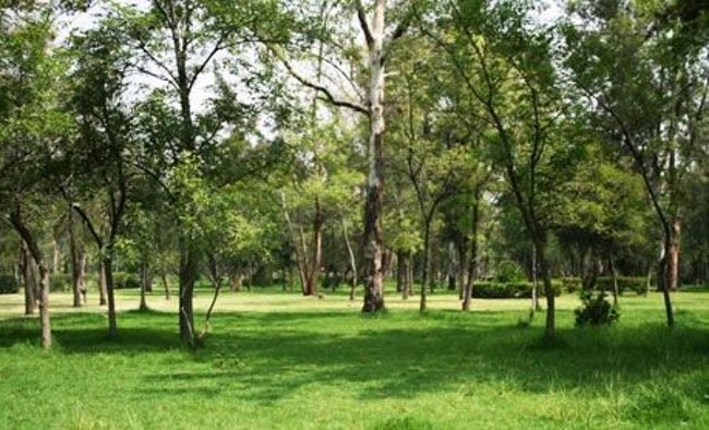 PIDEN CREAR FIDEICOMISO PROBOSQUE DE ARAGÓN PARA CONSTRUIR UN PARQUE RECREATIVO