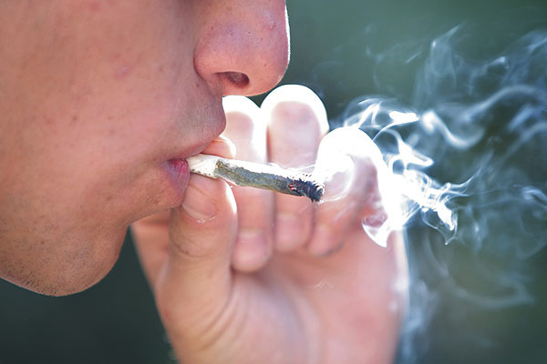 DAN BIENVENIDA A GOBIERNO FEDERAL A DEBATE PARA REGULAR MARIGUANA EN DF