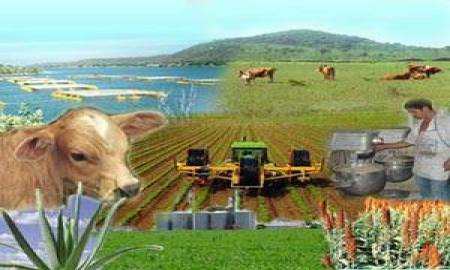 Necesario, nuevo sistema financiero rural