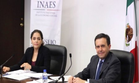 EL SECRETARIO ILDEFONSO GUAJARDO PRESIDIÃ“ LA TERCERA SESIÃ“N DEL CONSEJO CONSULTIVO DEL INAES