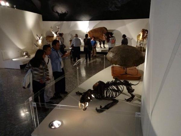 A¡Visita el Museo de Historia Natural por sus 50 años durante Noche De Museos!