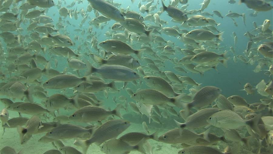 a€œPATRIMONIO MUNDIAL NATURAL EN MÉXICOa€