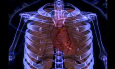 CUATRO ESPECIALES SOBRE CIENCIA Y SALUD EN CANAL ONCE