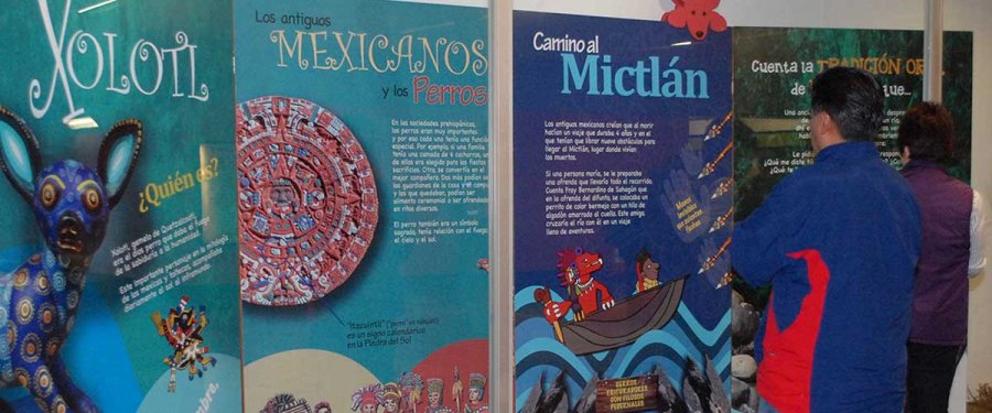 Checa las diversas actividades culturales en el Metro durante octubre