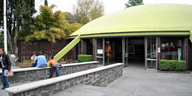Museo de Historia Natural festeja a los niños con a€œLos sueños de Julio Verne: viajeros en el museoa€