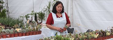 INICIA LA 158 FERIA DE LAS FLORES DE SAN ÁNGEL
