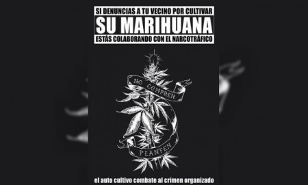 Proponen el autocultivo para el autoconsumo como medida de combate al crimen organizado.