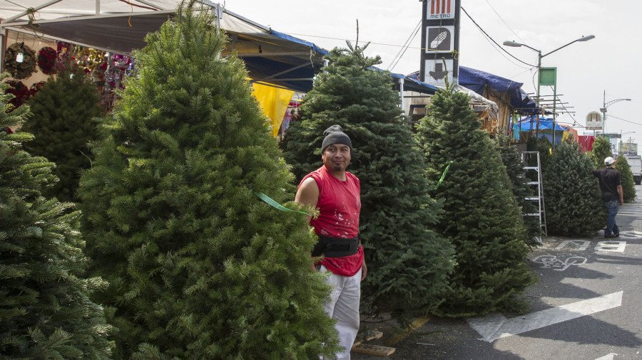 Hasta 2 millones de árboles de navidad se comercializaron en esta temporada