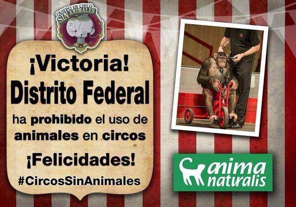 Inicia nueva era en los circos del DF, ya no podrÃ¡n presentar animales