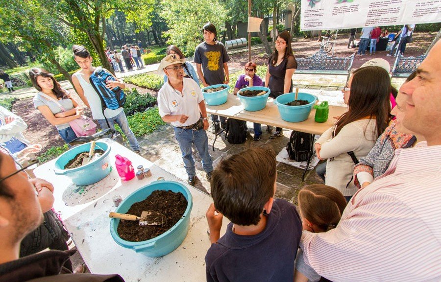 Invita CDMX a Domingo Verde en Chapultepec y Aragón