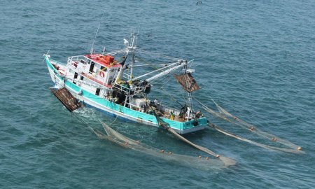 Registra producciÃ³n pesquera y acuÃ­cola nacional avance de un millÃ³n 075 mil tons a septiembre de 2015