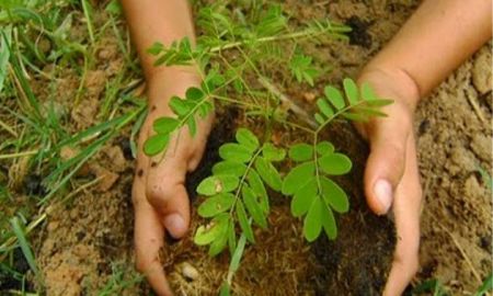 Indispensable, evaluar polÃ­ticas en materia ambiental