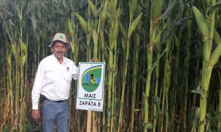 AUMENTA COMPETITIVIDAD DE INDUSTRIA SEMILLERA MEXICANA CON MASAGRO