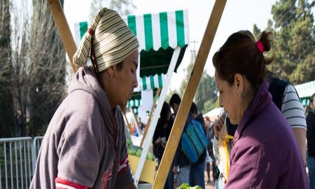 Asiste a la 8Âª ediciÃ³n del Mercado de Trueque en Vivero NezahualcÃ³yotl