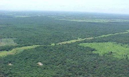 Aprueban reforma para fortalecer conservaciÃ³n de recursos naturales