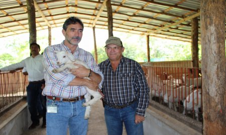 Cuidado medio ambiental, fundamental en impulso a ganaderÃ­a