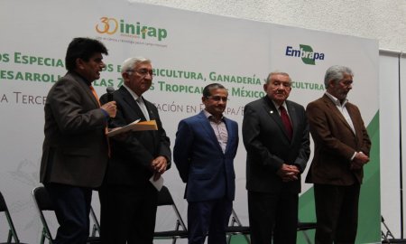 INICIAN 81 PROFESIONISTAS MEXICANOS CAPACITACIÃ“N ESPECIALIZADA EN BRASIL PARA CULTIVOS TROPICALES