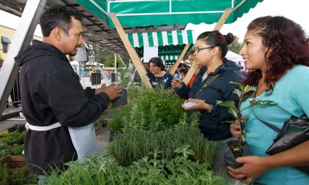 Mercado de Trueque en Monumento a la RevoluciÃ³n